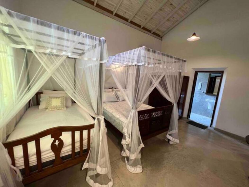 Wattala Villa- The Guardian Bungalow Eksteriør bilde
